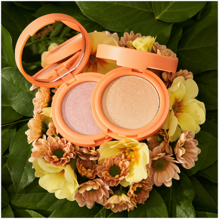 Catrice Seeking Flowers Cream-To-Powder Highlighter C02 Apriglow