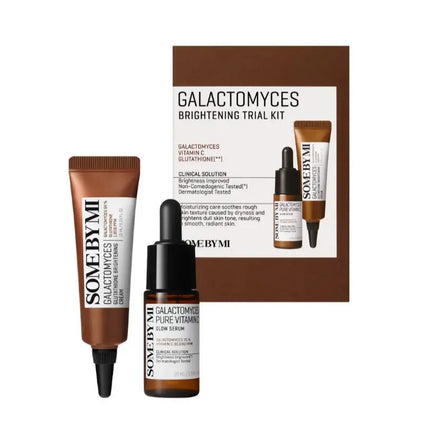 Some By Mi Galactomyces Brightening Trial Kit