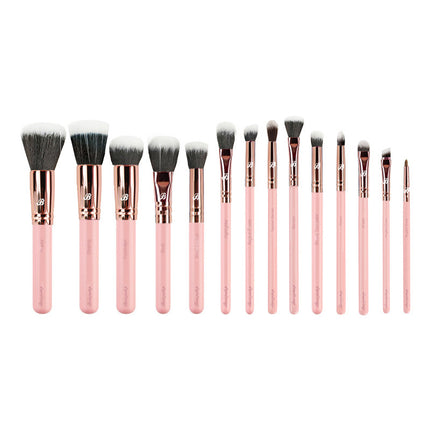 Boozyshop Pink & Rose Gold 14 pc. Starter Set